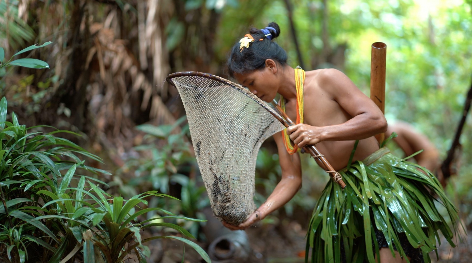 Mentawai: Souls of the Forest