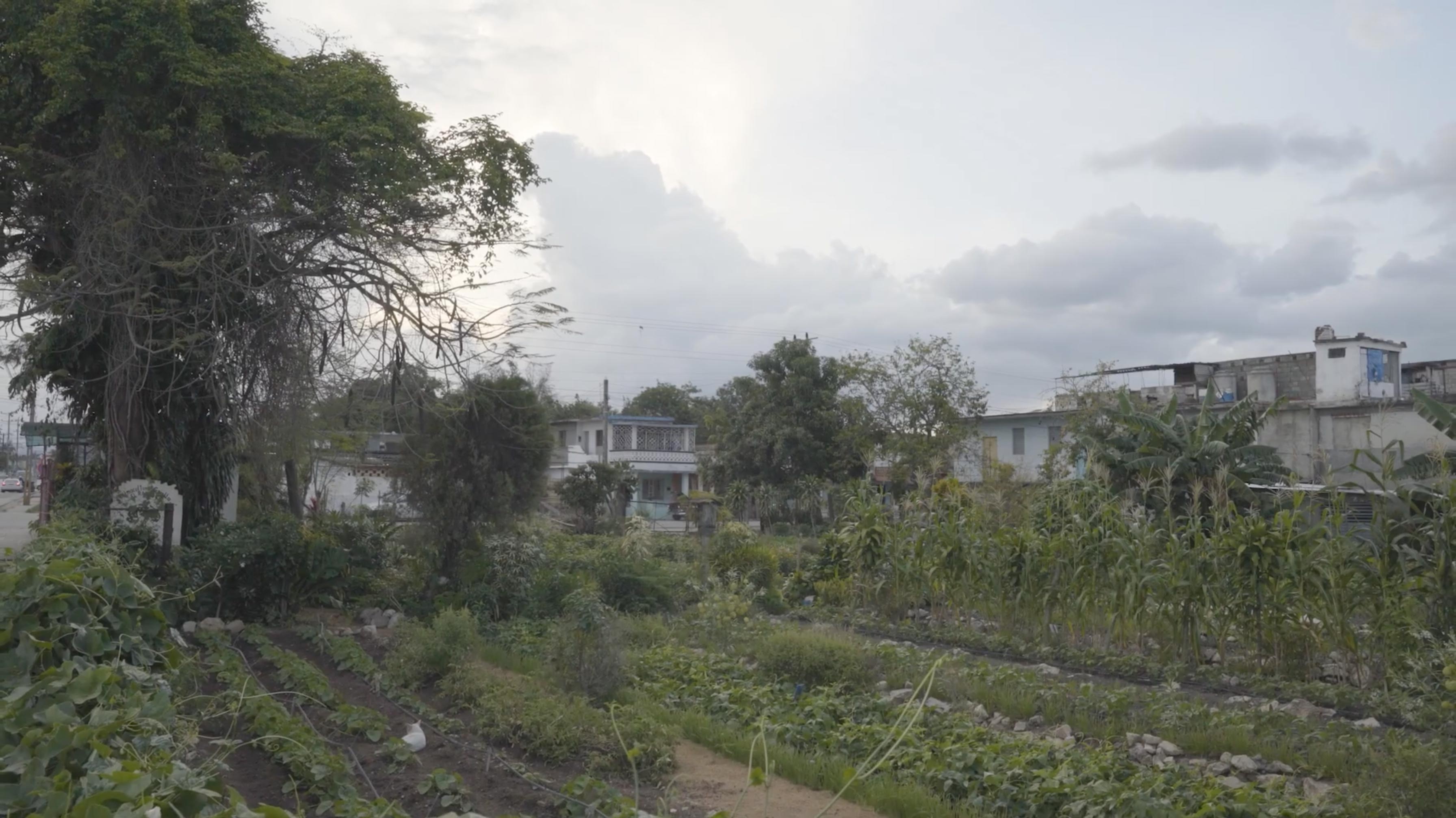 Our Agroecology, Our Future
